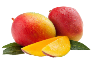 MANGO-KENT